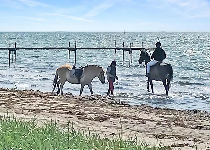 Stacie - 10m From The Sea By Interhome Σπίτι διακοπών