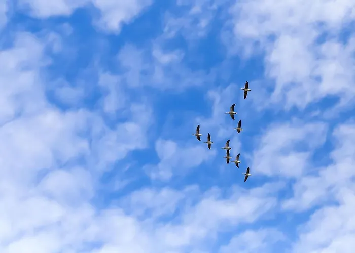 Stacie - 10m From The Sea By Interhome