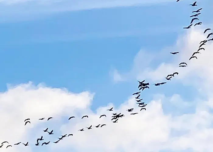 Σπίτι διακοπών Stacie - 10m From The Sea By Interhome Gedser